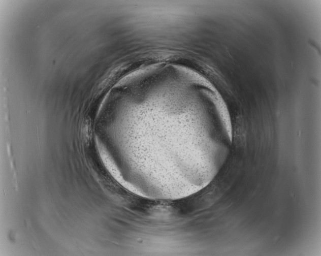 X0000102780119200809021101