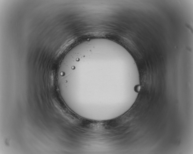 X0000102780120200809021101