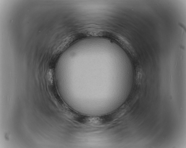 X0000102780121200809021101