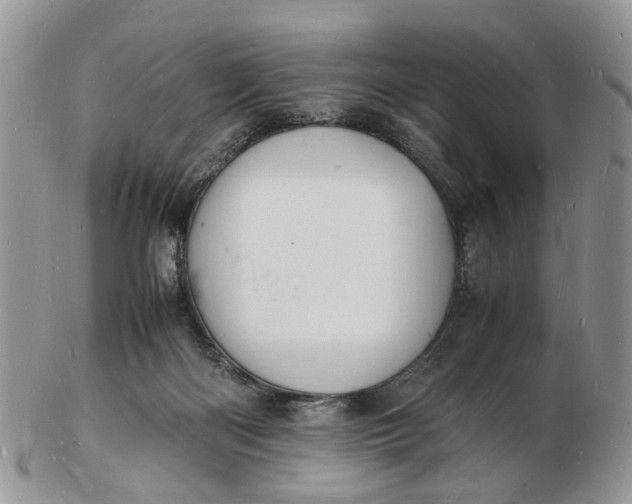 X0000102780122200809021101