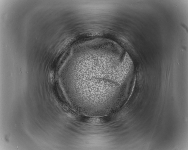 X0000102780123200809021101