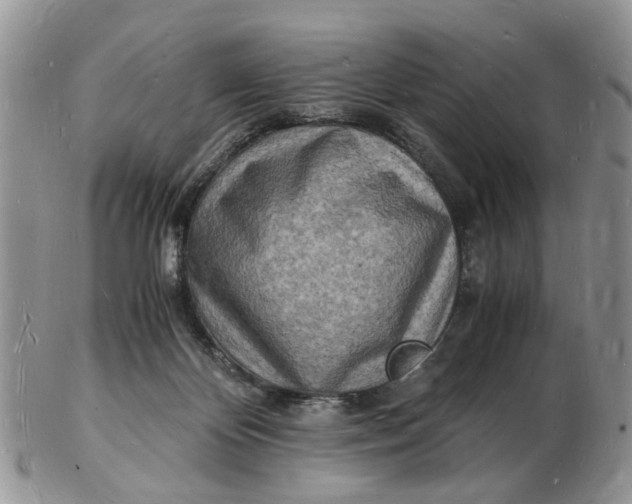 X0000102780124200809021101