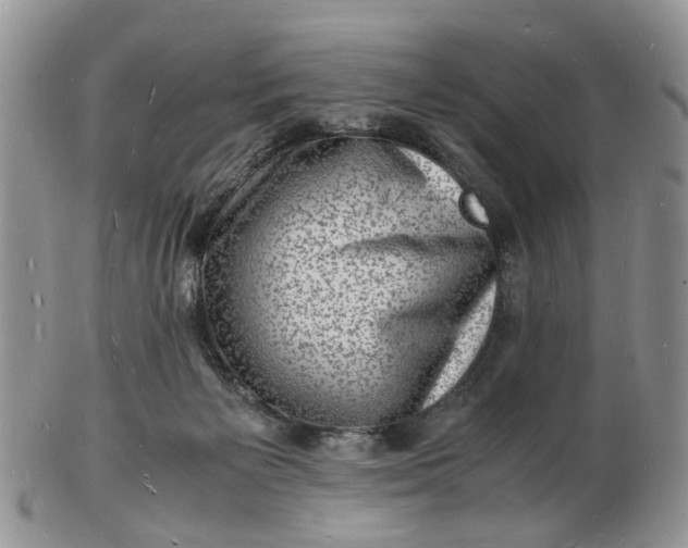 X0000102780125200809021101