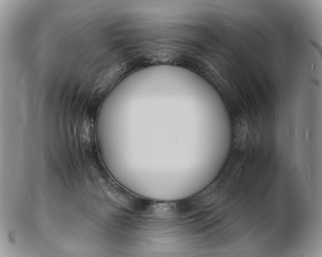 X0000102780126200809021101