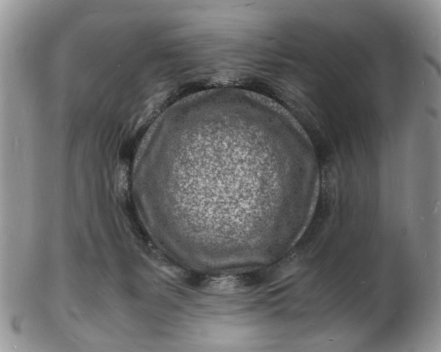 X0000102780127200809021101