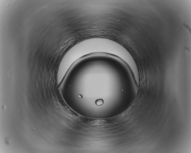 X0000102780128200809021101