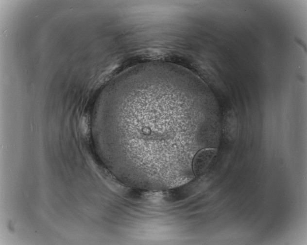 X0000102780131200809021101