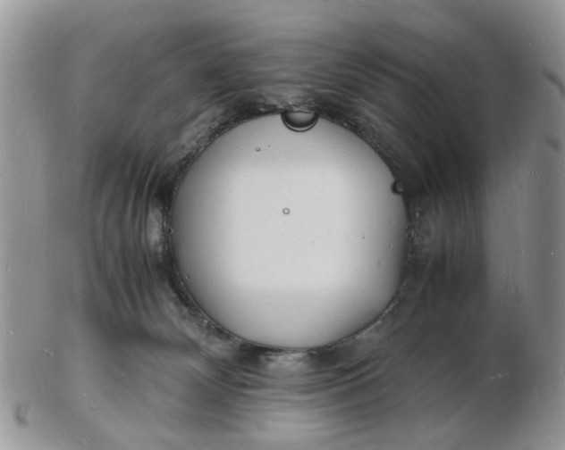 X0000102780132200809021101