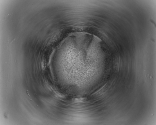 X0000102780134200809021101