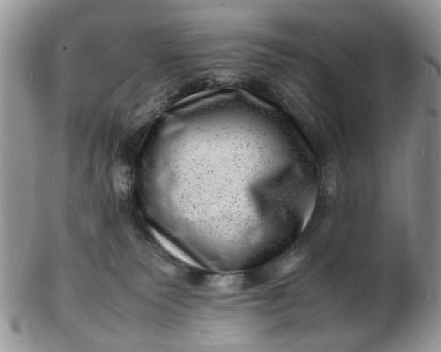 X0000102780135200809021101