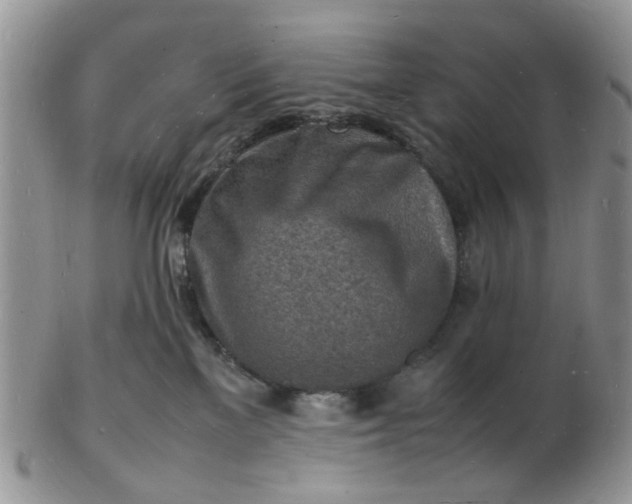 X0000102780137200809021101