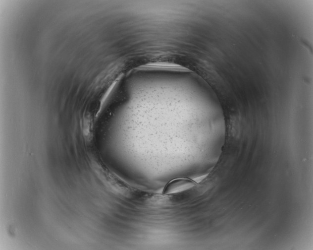 X0000102780138200809021101