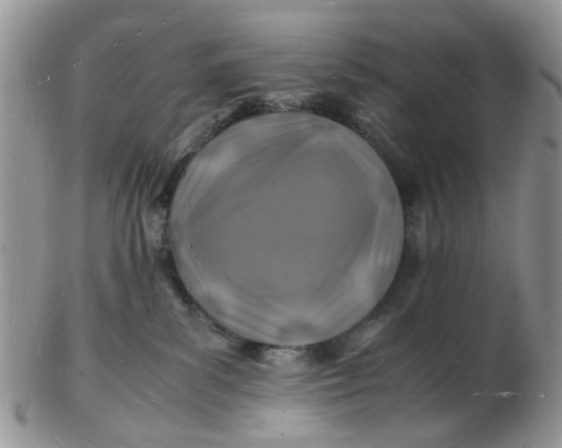 X0000102780139200809021101