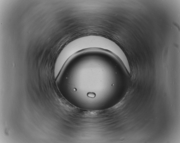 X0000102780140200809021101