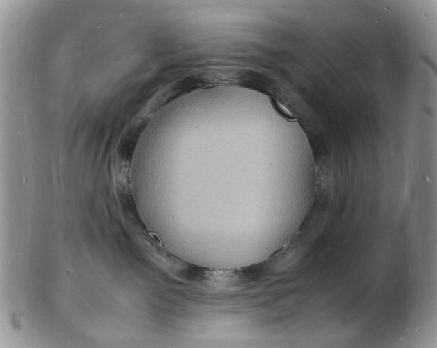 X0000102780141200809021101