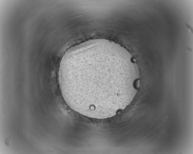 X0000102780144200809021101