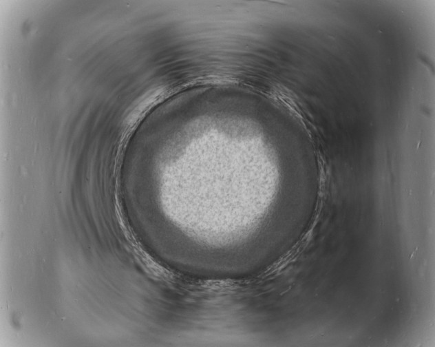 X0000102780145200809021100