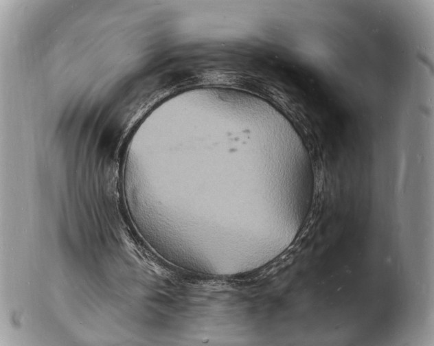 X0000102780146200809021100