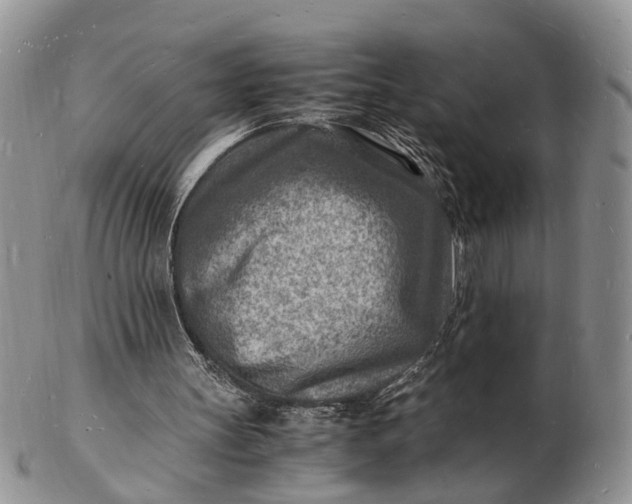 X0000102780147200809021100