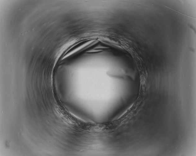 X0000102780148200809021100