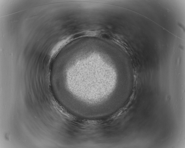 X0000102780149200809021100