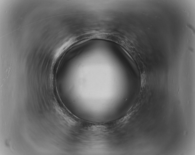 X0000102780150200809021100