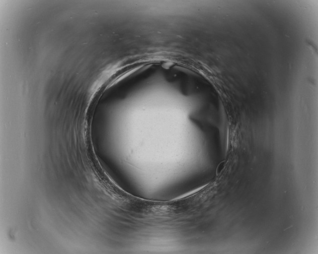 X0000102780152200809021100