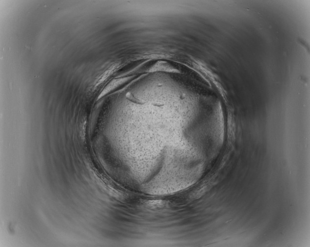 X0000102780153200809021100