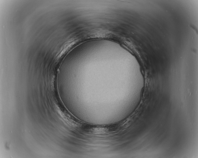 X0000102780154200809021100