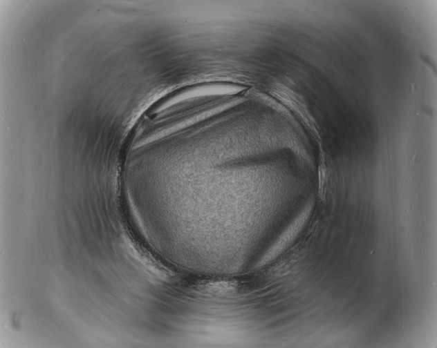 X0000102780156200809021100