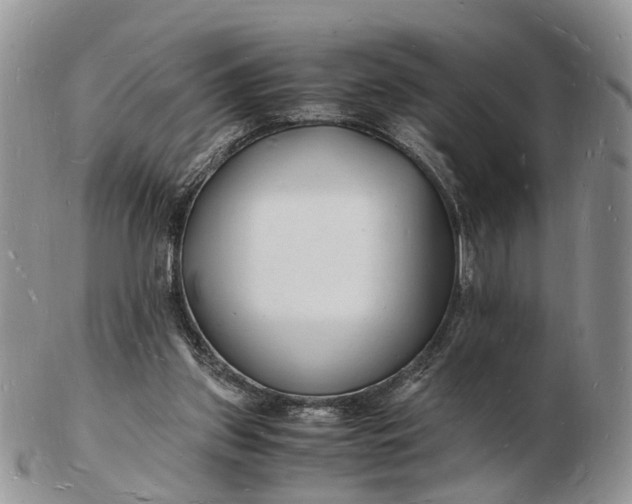 X0000102780157200809021100