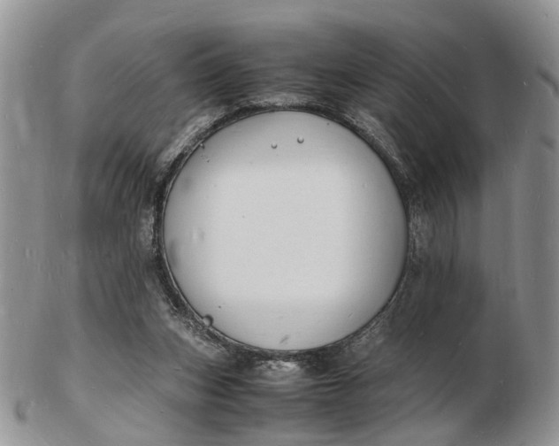 X0000102780159200809021100