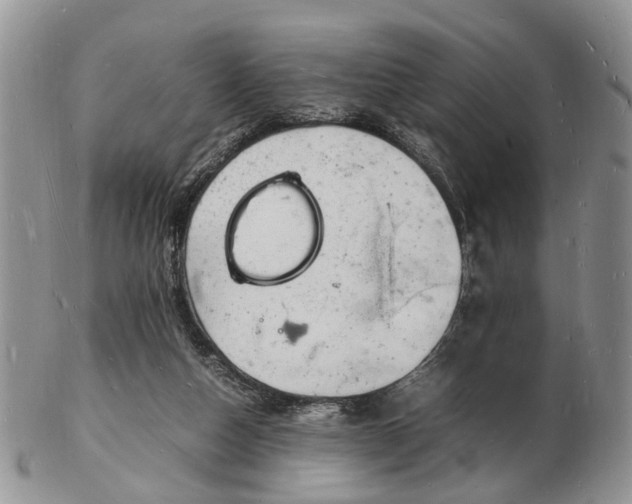 X0000102780162200809021100