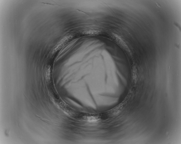 X0000102780163200809021100