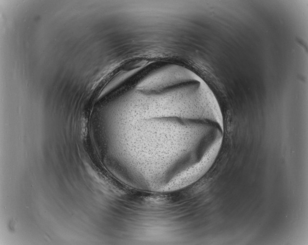 X0000102780164200809021100