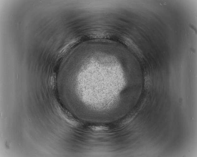 X0000102780165200809021100