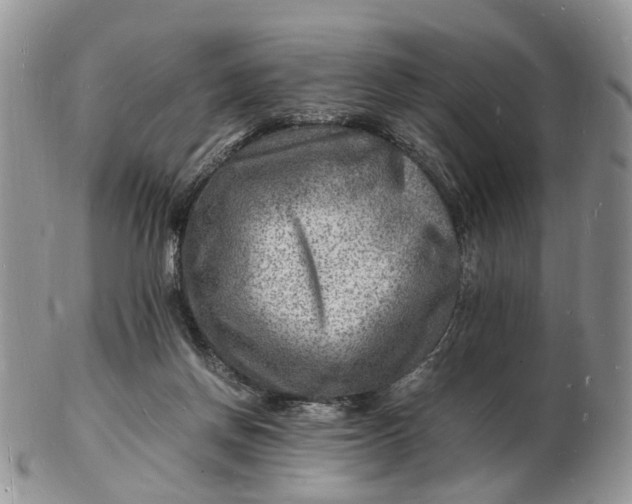 X0000102780166200809021100