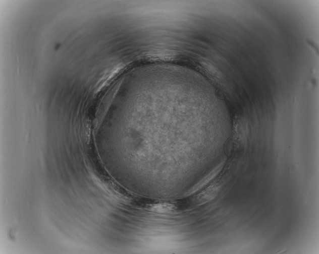 X0000102780168200809021100