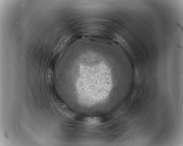 X0000102780169200809021100