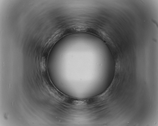 X0000102780170200809021100