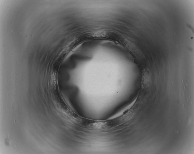 X0000102780172200809021100