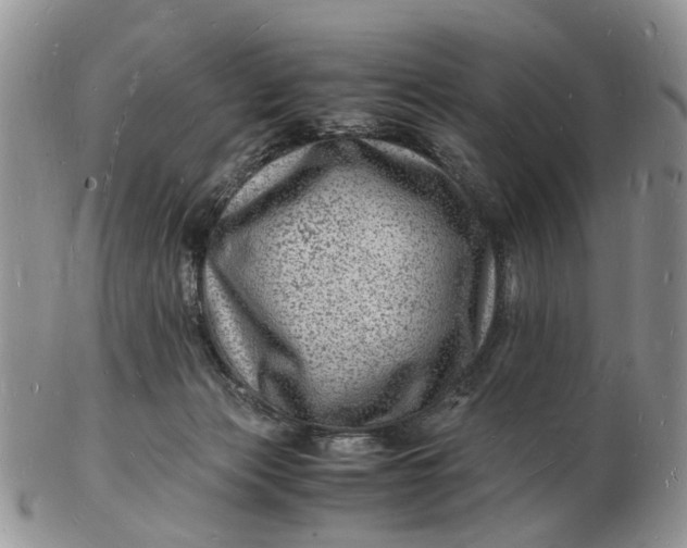 X0000102780173200809021100