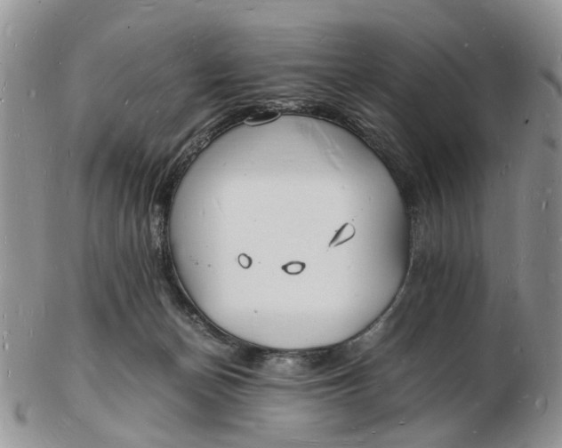 X0000102780174200809021100