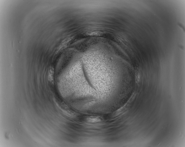 X0000102780175200809021100