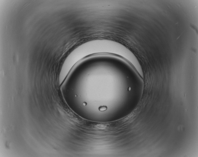 X0000102780176200809021100