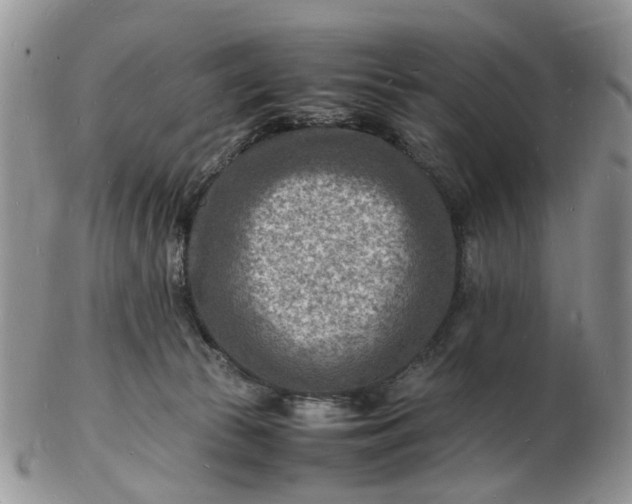 X0000102780177200809021100