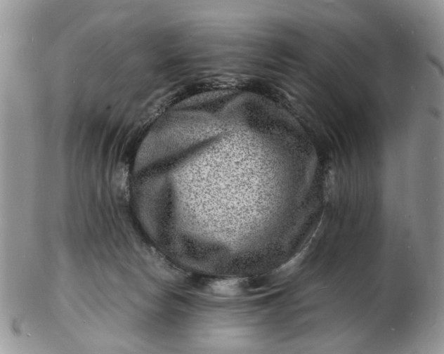 X0000102780178200809021100