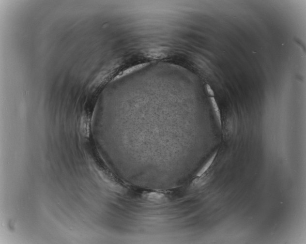 X0000102780180200809021100