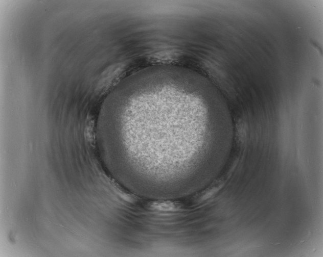 X0000102780181200809021100