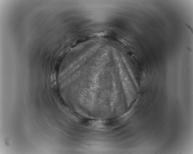 X0000102780182200809021100